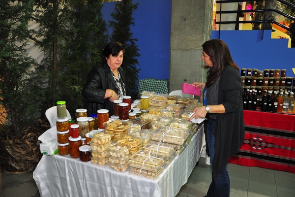 Opening of Christmas Exhibition 2012